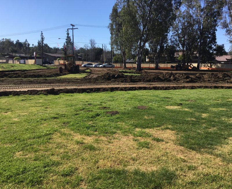 Grassy field, dirt patches, construction, trees, and parked cars.