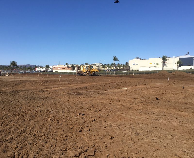 Bulldozer on dirt field; buildings, palm trees, cars behind.