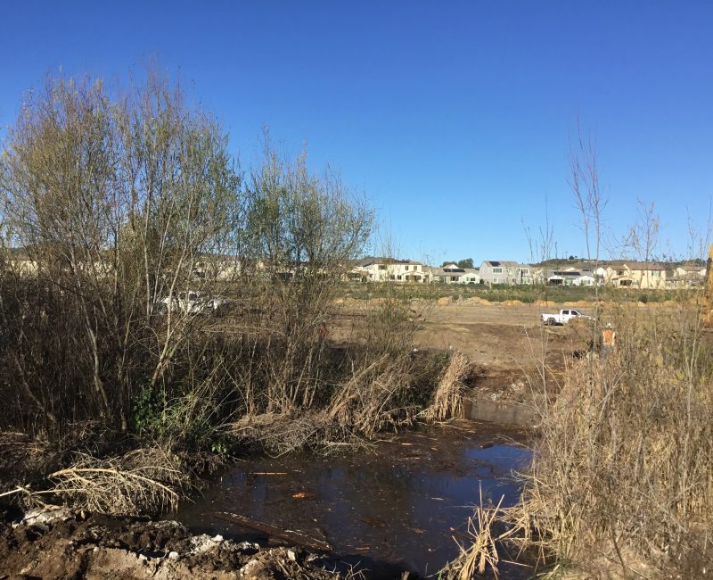 Pond with dry grasses, construction vehicles, and houses under blue sky.