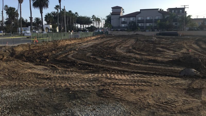 Cleared construction site, tire tracks, green fence, palm trees.
