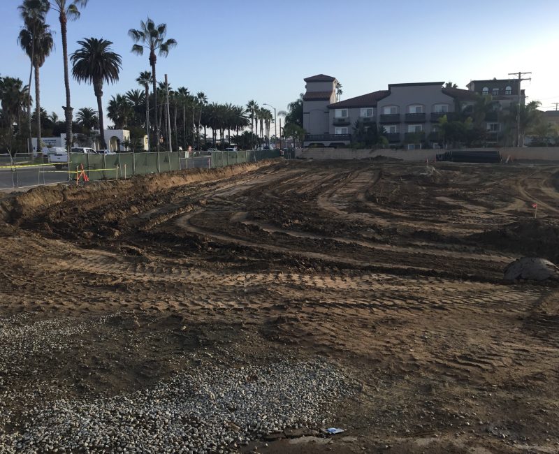 Cleared construction site, tire tracks, green fence, palm trees.