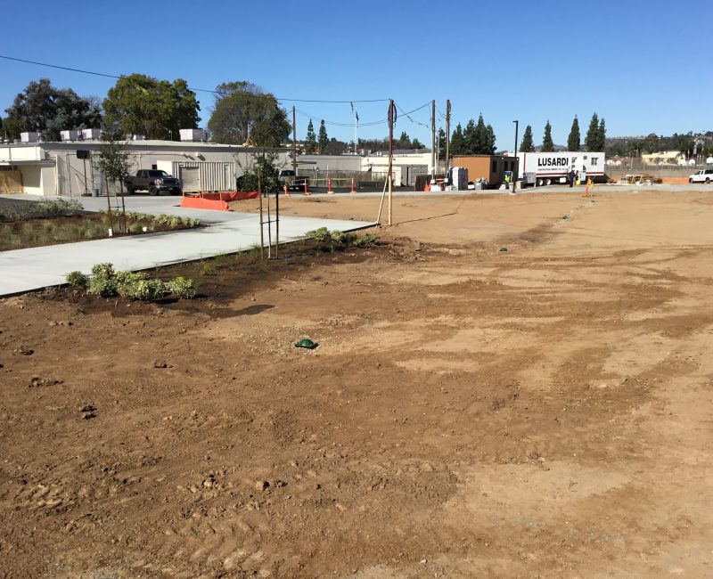 Construction site: dirt lot, landscaping, concrete paths, trees, buildings.